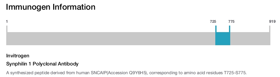 Synphilin 1 Polyclonal Antibody