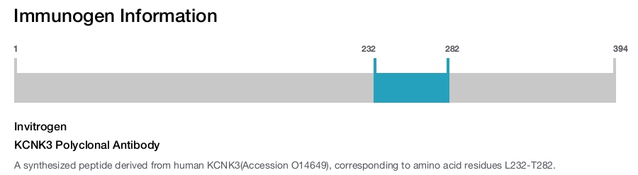KCNK3 Polyclonal Antibody