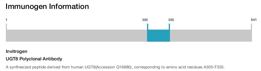 UGT8 Polyclonal Antibody