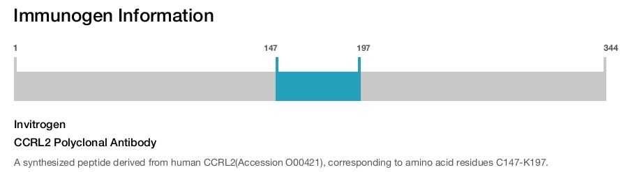 CCRL2 Polyclonal Antibody