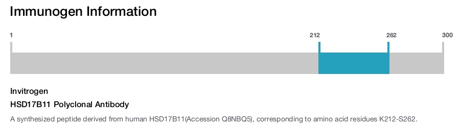 HSD17B11 Polyclonal Antibody