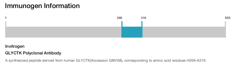 GLYCTK Polyclonal Antibody