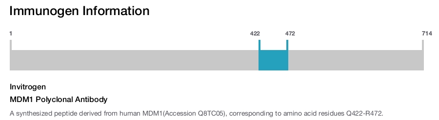 MDM1 Polyclonal Antibody