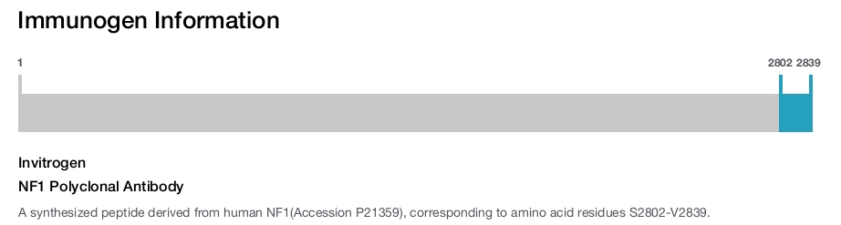 NF1 Polyclonal Antibody