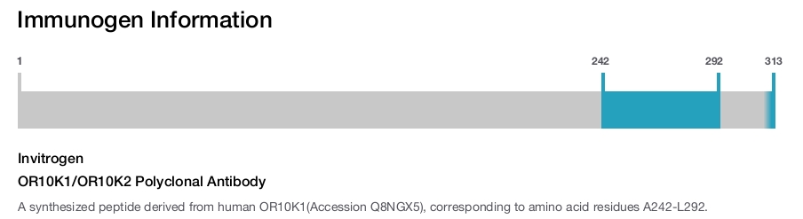 OR10K1/OR10K2 Polyclonal Antibody