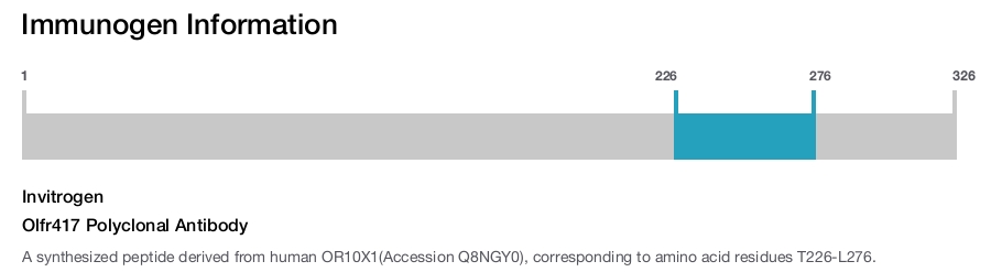 Olfr417 Polyclonal Antibody