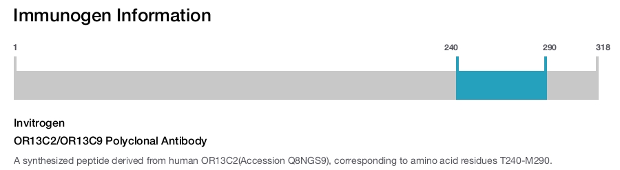 OR13C2/OR13C9 Polyclonal Antibody