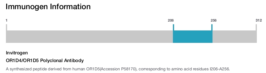 OR1D4/OR1D5 Polyclonal Antibody