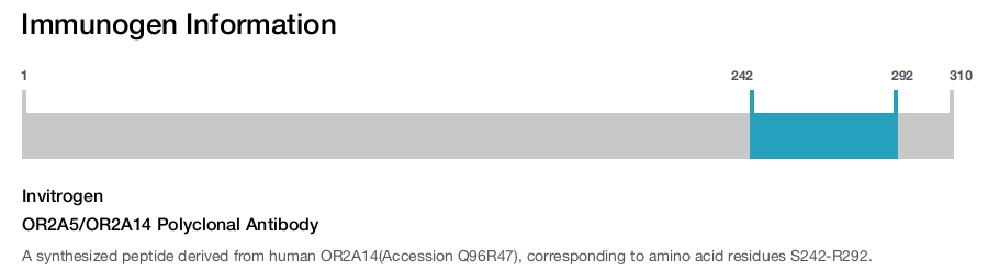 OR2A5/OR2A14 Polyclonal Antibody
