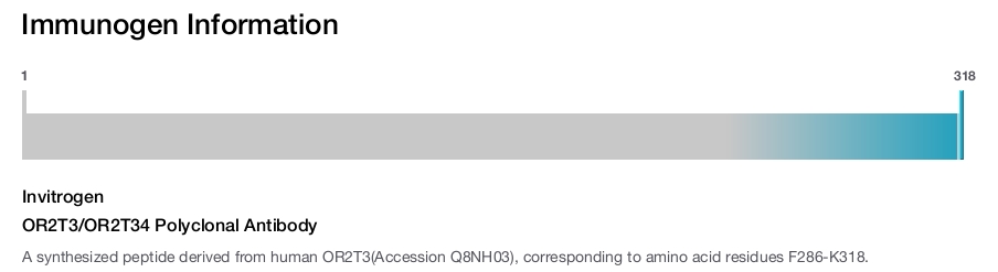 OR2T3/OR2T34 Polyclonal Antibody