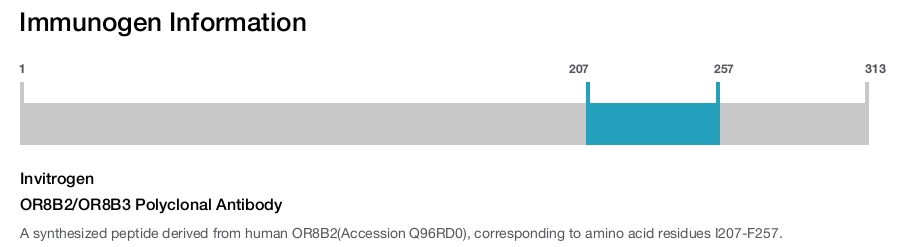 OR8B2/OR8B3 Polyclonal Antibody