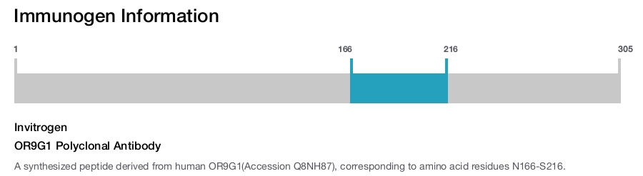 OR9G1 Polyclonal Antibody