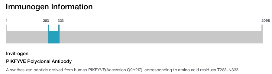 PIKFYVE Polyclonal Antibody