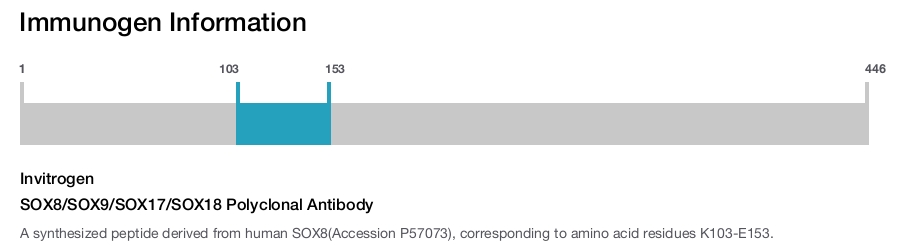 SOX8/SOX9/SOX17/SOX18 Polyclonal Antibody
