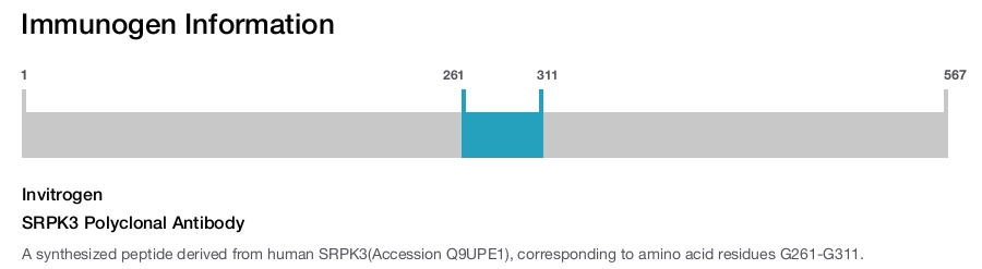 SRPK3 Polyclonal Antibody