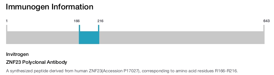 ZNF23 Polyclonal Antibody