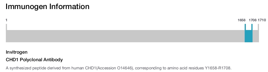 CHD1 Polyclonal Antibody