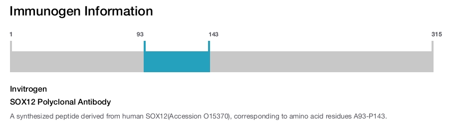 SOX12 Polyclonal Antibody