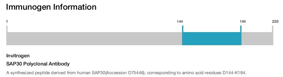 SAP30 Polyclonal Antibody