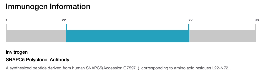 SNAPC5 Polyclonal Antibody