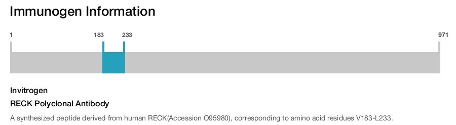 RECK Polyclonal Antibody