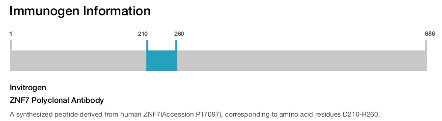 ZNF7 Polyclonal Antibody