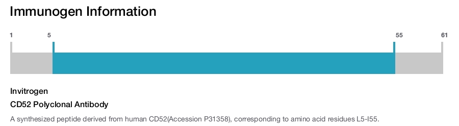 CD52 Polyclonal Antibody