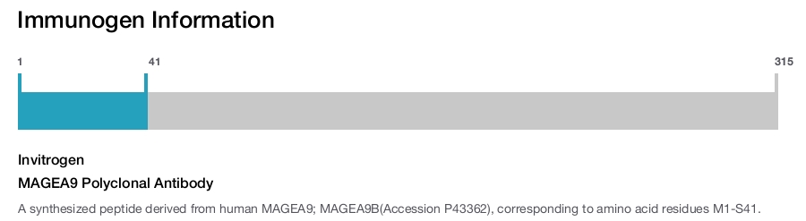 MAGEA9 Polyclonal Antibody