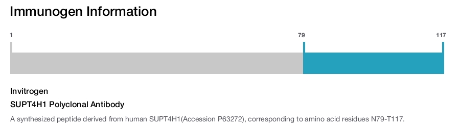 SUPT4H1 Polyclonal Antibody