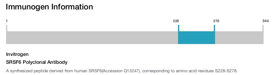SRSF6 Polyclonal Antibody