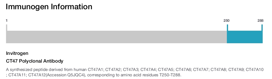 CT47 Polyclonal Antibody