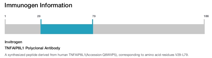 TNFAIP8L1 Polyclonal Antibody