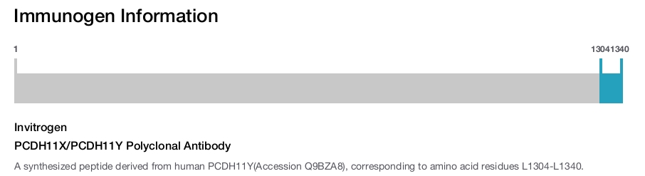 PCDH11X/PCDH11Y Polyclonal Antibody