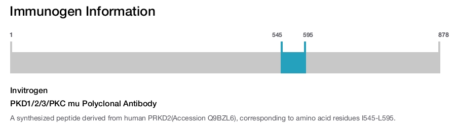 PKD1/2/3/PKC mu Polyclonal Antibody