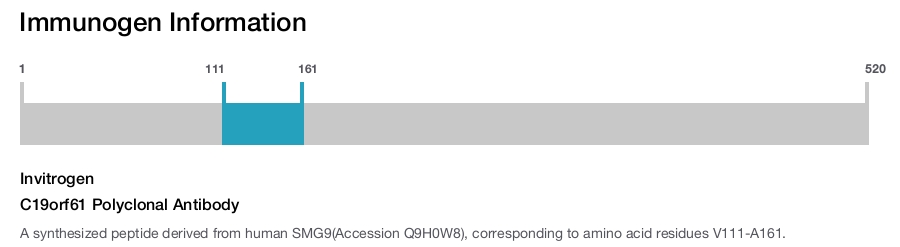 C19orf61 Polyclonal Antibody