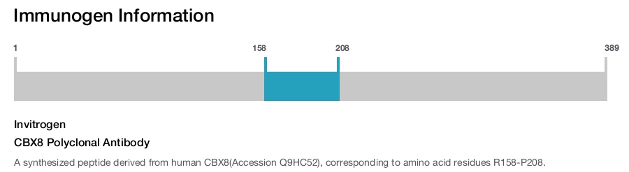 CBX8 Polyclonal Antibody
