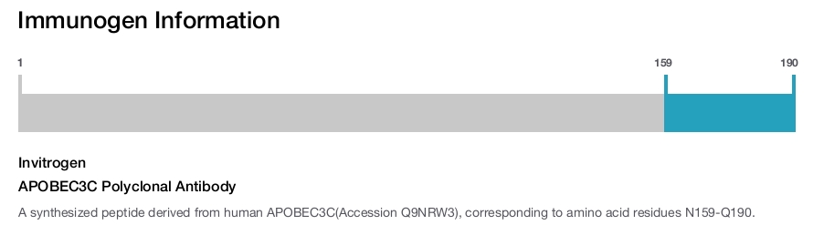 APOBEC3C Polyclonal Antibody