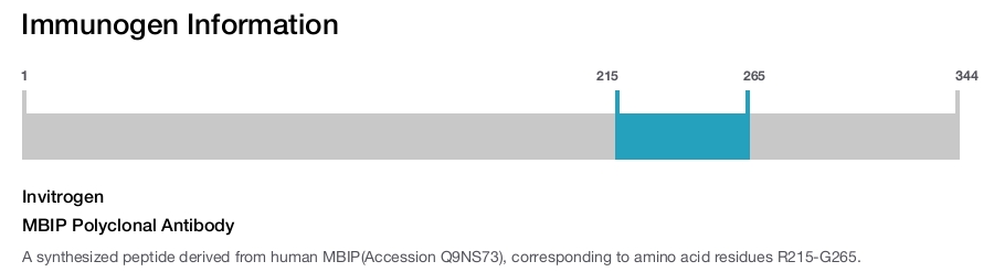 MBIP Polyclonal Antibody
