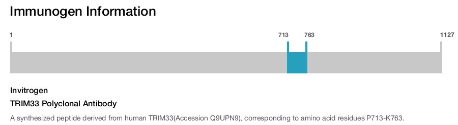TRIM33 Polyclonal Antibody