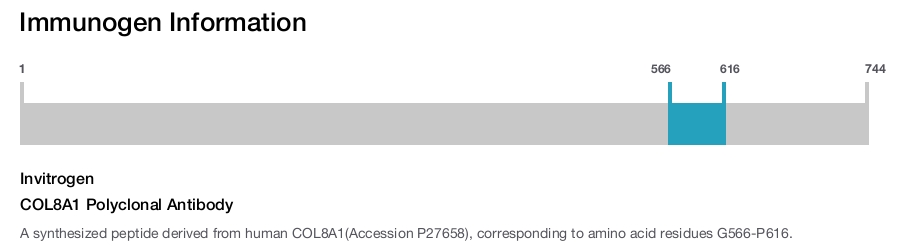 COL8A1 Polyclonal Antibody