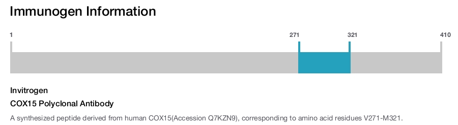 COX15 Polyclonal Antibody