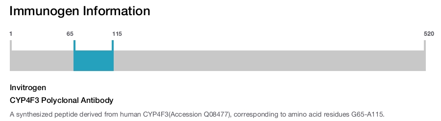 CYP4F3 Polyclonal Antibody