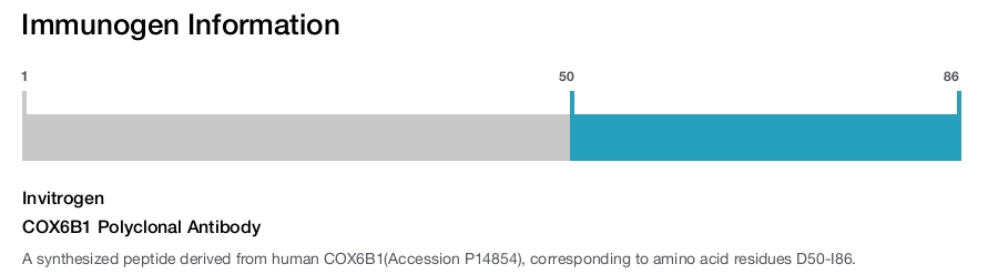 COX6B1 Polyclonal Antibody