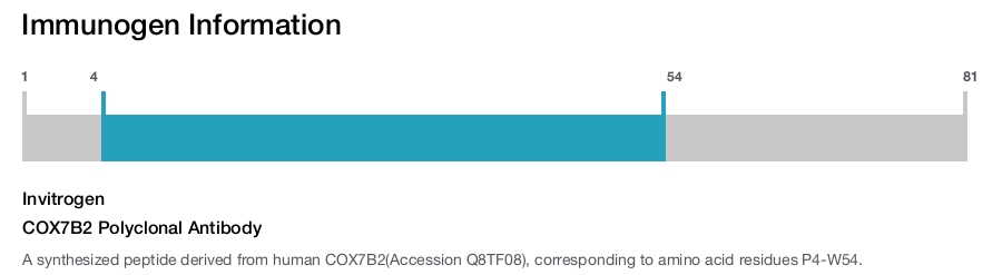 COX7B2 Polyclonal Antibody