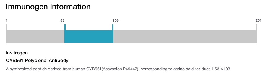 CYB561 Polyclonal Antibody