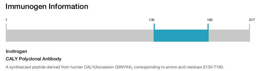 CALY Polyclonal Antibody