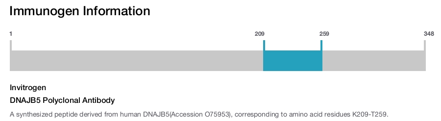 DNAJB5 Polyclonal Antibody