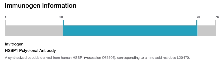 HSBP1 Polyclonal Antibody