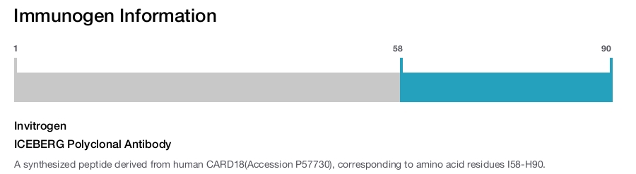 ICEBERG Polyclonal Antibody