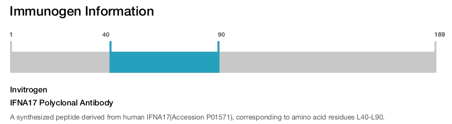 IFNA17 Polyclonal Antibody